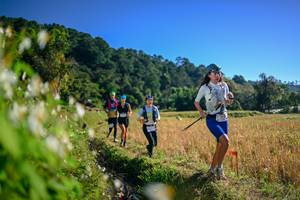 BIB: 
                            <button type="button" onclick="openModal(26571616)" class="btn btn-primary btn-sm float-right btn-popup" data-toggle="modal" data-target=".modal-high-quality">
                        <i class="fas fa-shopping-cart"></i> Add to Cart
                    </button>
                                            <button type="button" onclick="isThisMe(26571616, true)" class="btn btn-success btn-sm float-right btn-popup btn-isme hidden" data-toggle="tooltip" data-placement="bottom" title="นี่คือรูปของคุณใช่ไหม คลิกที่นี่เพื่อเอาเข้าอัลบั้ม">
                        <i class="fas fa-plus"></i> Add to album
                    </button>
                    <button type="button" onclick="isThisMe(26571616, false)" class="btn btn-warning btn-sm float-right btn-popup btn-isnotme hidden">
                        <i class="fas fa-ban"></i> Remove from album
                    </button>