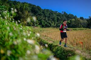 BIB: 
                            <button type="button" onclick="openModal(26582001)" class="btn btn-primary btn-sm float-right btn-popup" data-toggle="modal" data-target=".modal-high-quality">
                        <i class="fas fa-shopping-cart"></i> Add to Cart
                    </button>
                                            <button type="button" onclick="isThisMe(26582001, true)" class="btn btn-success btn-sm float-right btn-popup btn-isme hidden" data-toggle="tooltip" data-placement="bottom" title="นี่คือรูปของคุณใช่ไหม คลิกที่นี่เพื่อเอาเข้าอัลบั้ม">
                        <i class="fas fa-plus"></i> Add to album
                    </button>
                    <button type="button" onclick="isThisMe(26582001, false)" class="btn btn-warning btn-sm float-right btn-popup btn-isnotme hidden">
                        <i class="fas fa-ban"></i> Remove from album
                    </button>