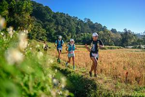 BIB: 
                            <button type="button" onclick="openModal(26570462)" class="btn btn-primary btn-sm float-right btn-popup" data-toggle="modal" data-target=".modal-high-quality">
                        <i class="fas fa-shopping-cart"></i> Add to Cart
                    </button>
                                            <button type="button" onclick="isThisMe(26570462, true)" class="btn btn-success btn-sm float-right btn-popup btn-isme hidden" data-toggle="tooltip" data-placement="bottom" title="นี่คือรูปของคุณใช่ไหม คลิกที่นี่เพื่อเอาเข้าอัลบั้ม">
                        <i class="fas fa-plus"></i> Add to album
                    </button>
                    <button type="button" onclick="isThisMe(26570462, false)" class="btn btn-warning btn-sm float-right btn-popup btn-isnotme hidden">
                        <i class="fas fa-ban"></i> Remove from album
                    </button>