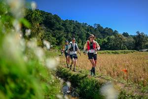 BIB: 
                            <button type="button" onclick="openModal(26574952)" class="btn btn-primary btn-sm float-right btn-popup" data-toggle="modal" data-target=".modal-high-quality">
                        <i class="fas fa-shopping-cart"></i> Add to Cart
                    </button>
                                            <button type="button" onclick="isThisMe(26574952, true)" class="btn btn-success btn-sm float-right btn-popup btn-isme hidden" data-toggle="tooltip" data-placement="bottom" title="นี่คือรูปของคุณใช่ไหม คลิกที่นี่เพื่อเอาเข้าอัลบั้ม">
                        <i class="fas fa-plus"></i> Add to album
                    </button>
                    <button type="button" onclick="isThisMe(26574952, false)" class="btn btn-warning btn-sm float-right btn-popup btn-isnotme hidden">
                        <i class="fas fa-ban"></i> Remove from album
                    </button>