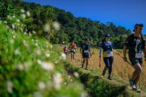 BIB: 
                            <button type="button" onclick="openModal(26583168)" class="btn btn-primary btn-sm float-right btn-popup" data-toggle="modal" data-target=".modal-high-quality">
                        <i class="fas fa-shopping-cart"></i> Add to Cart
                    </button>
                                            <button type="button" onclick="isThisMe(26583168, true)" class="btn btn-success btn-sm float-right btn-popup btn-isme hidden" data-toggle="tooltip" data-placement="bottom" title="นี่คือรูปของคุณใช่ไหม คลิกที่นี่เพื่อเอาเข้าอัลบั้ม">
                        <i class="fas fa-plus"></i> Add to album
                    </button>
                    <button type="button" onclick="isThisMe(26583168, false)" class="btn btn-warning btn-sm float-right btn-popup btn-isnotme hidden">
                        <i class="fas fa-ban"></i> Remove from album
                    </button>