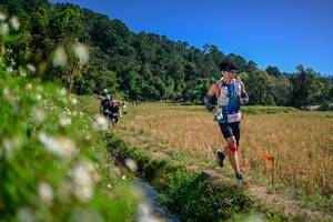 BIB: 
                            <button type="button" onclick="openModal(26582661)" class="btn btn-primary btn-sm float-right btn-popup" data-toggle="modal" data-target=".modal-high-quality">
                        <i class="fas fa-shopping-cart"></i> Add to Cart
                    </button>
                                            <button type="button" onclick="isThisMe(26582661, true)" class="btn btn-success btn-sm float-right btn-popup btn-isme hidden" data-toggle="tooltip" data-placement="bottom" title="นี่คือรูปของคุณใช่ไหม คลิกที่นี่เพื่อเอาเข้าอัลบั้ม">
                        <i class="fas fa-plus"></i> Add to album
                    </button>
                    <button type="button" onclick="isThisMe(26582661, false)" class="btn btn-warning btn-sm float-right btn-popup btn-isnotme hidden">
                        <i class="fas fa-ban"></i> Remove from album
                    </button>