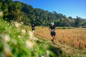 BIB: 
                            <button type="button" onclick="openModal(26570529)" class="btn btn-primary btn-sm float-right btn-popup" data-toggle="modal" data-target=".modal-high-quality">
                        <i class="fas fa-shopping-cart"></i> Add to Cart
                    </button>
                                            <button type="button" onclick="isThisMe(26570529, true)" class="btn btn-success btn-sm float-right btn-popup btn-isme hidden" data-toggle="tooltip" data-placement="bottom" title="นี่คือรูปของคุณใช่ไหม คลิกที่นี่เพื่อเอาเข้าอัลบั้ม">
                        <i class="fas fa-plus"></i> Add to album
                    </button>
                    <button type="button" onclick="isThisMe(26570529, false)" class="btn btn-warning btn-sm float-right btn-popup btn-isnotme hidden">
                        <i class="fas fa-ban"></i> Remove from album
                    </button>