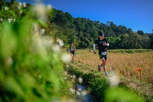 BIB: 
                            <button type="button" onclick="openModal(26574406)" class="btn btn-primary btn-sm float-right btn-popup" data-toggle="modal" data-target=".modal-high-quality">
                        <i class="fas fa-shopping-cart"></i> Add to Cart
                    </button>
                                            <button type="button" onclick="isThisMe(26574406, true)" class="btn btn-success btn-sm float-right btn-popup btn-isme hidden" data-toggle="tooltip" data-placement="bottom" title="นี่คือรูปของคุณใช่ไหม คลิกที่นี่เพื่อเอาเข้าอัลบั้ม">
                        <i class="fas fa-plus"></i> Add to album
                    </button>
                    <button type="button" onclick="isThisMe(26574406, false)" class="btn btn-warning btn-sm float-right btn-popup btn-isnotme hidden">
                        <i class="fas fa-ban"></i> Remove from album
                    </button>