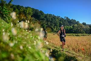 BIB: 
                            <button type="button" onclick="openModal(26571111)" class="btn btn-primary btn-sm float-right btn-popup" data-toggle="modal" data-target=".modal-high-quality">
                        <i class="fas fa-shopping-cart"></i> Add to Cart
                    </button>
                                            <button type="button" onclick="isThisMe(26571111, true)" class="btn btn-success btn-sm float-right btn-popup btn-isme hidden" data-toggle="tooltip" data-placement="bottom" title="นี่คือรูปของคุณใช่ไหม คลิกที่นี่เพื่อเอาเข้าอัลบั้ม">
                        <i class="fas fa-plus"></i> Add to album
                    </button>
                    <button type="button" onclick="isThisMe(26571111, false)" class="btn btn-warning btn-sm float-right btn-popup btn-isnotme hidden">
                        <i class="fas fa-ban"></i> Remove from album
                    </button>