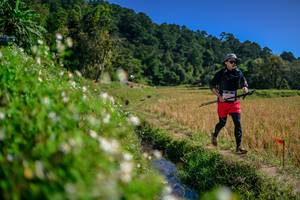 BIB: 
                            <button type="button" onclick="openModal(26581820)" class="btn btn-primary btn-sm float-right btn-popup" data-toggle="modal" data-target=".modal-high-quality">
                        <i class="fas fa-shopping-cart"></i> Add to Cart
                    </button>
                                            <button type="button" onclick="isThisMe(26581820, true)" class="btn btn-success btn-sm float-right btn-popup btn-isme hidden" data-toggle="tooltip" data-placement="bottom" title="นี่คือรูปของคุณใช่ไหม คลิกที่นี่เพื่อเอาเข้าอัลบั้ม">
                        <i class="fas fa-plus"></i> Add to album
                    </button>
                    <button type="button" onclick="isThisMe(26581820, false)" class="btn btn-warning btn-sm float-right btn-popup btn-isnotme hidden">
                        <i class="fas fa-ban"></i> Remove from album
                    </button>