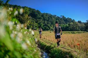 BIB: 
                            <button type="button" onclick="openModal(26571537)" class="btn btn-primary btn-sm float-right btn-popup" data-toggle="modal" data-target=".modal-high-quality">
                        <i class="fas fa-shopping-cart"></i> Add to Cart
                    </button>
                                            <button type="button" onclick="isThisMe(26571537, true)" class="btn btn-success btn-sm float-right btn-popup btn-isme hidden" data-toggle="tooltip" data-placement="bottom" title="นี่คือรูปของคุณใช่ไหม คลิกที่นี่เพื่อเอาเข้าอัลบั้ม">
                        <i class="fas fa-plus"></i> Add to album
                    </button>
                    <button type="button" onclick="isThisMe(26571537, false)" class="btn btn-warning btn-sm float-right btn-popup btn-isnotme hidden">
                        <i class="fas fa-ban"></i> Remove from album
                    </button>