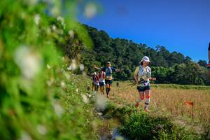 BIB: 
                            <button type="button" onclick="openModal(26580417)" class="btn btn-primary btn-sm float-right btn-popup" data-toggle="modal" data-target=".modal-high-quality">
                        <i class="fas fa-shopping-cart"></i> Add to Cart
                    </button>
                                            <button type="button" onclick="isThisMe(26580417, true)" class="btn btn-success btn-sm float-right btn-popup btn-isme hidden" data-toggle="tooltip" data-placement="bottom" title="นี่คือรูปของคุณใช่ไหม คลิกที่นี่เพื่อเอาเข้าอัลบั้ม">
                        <i class="fas fa-plus"></i> Add to album
                    </button>
                    <button type="button" onclick="isThisMe(26580417, false)" class="btn btn-warning btn-sm float-right btn-popup btn-isnotme hidden">
                        <i class="fas fa-ban"></i> Remove from album
                    </button>