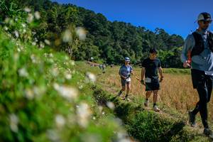 BIB: 
                            <button type="button" onclick="openModal(26583200)" class="btn btn-primary btn-sm float-right btn-popup" data-toggle="modal" data-target=".modal-high-quality">
                        <i class="fas fa-shopping-cart"></i> Add to Cart
                    </button>
                                            <button type="button" onclick="isThisMe(26583200, true)" class="btn btn-success btn-sm float-right btn-popup btn-isme hidden" data-toggle="tooltip" data-placement="bottom" title="นี่คือรูปของคุณใช่ไหม คลิกที่นี่เพื่อเอาเข้าอัลบั้ม">
                        <i class="fas fa-plus"></i> Add to album
                    </button>
                    <button type="button" onclick="isThisMe(26583200, false)" class="btn btn-warning btn-sm float-right btn-popup btn-isnotme hidden">
                        <i class="fas fa-ban"></i> Remove from album
                    </button>