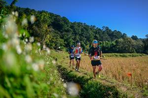 BIB: 
                            <button type="button" onclick="openModal(26573130)" class="btn btn-primary btn-sm float-right btn-popup" data-toggle="modal" data-target=".modal-high-quality">
                        <i class="fas fa-shopping-cart"></i> Add to Cart
                    </button>
                                            <button type="button" onclick="isThisMe(26573130, true)" class="btn btn-success btn-sm float-right btn-popup btn-isme hidden" data-toggle="tooltip" data-placement="bottom" title="นี่คือรูปของคุณใช่ไหม คลิกที่นี่เพื่อเอาเข้าอัลบั้ม">
                        <i class="fas fa-plus"></i> Add to album
                    </button>
                    <button type="button" onclick="isThisMe(26573130, false)" class="btn btn-warning btn-sm float-right btn-popup btn-isnotme hidden">
                        <i class="fas fa-ban"></i> Remove from album
                    </button>