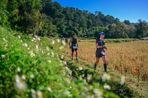 BIB: 
                            <button type="button" onclick="openModal(26571279)" class="btn btn-primary btn-sm float-right btn-popup" data-toggle="modal" data-target=".modal-high-quality">
                        <i class="fas fa-shopping-cart"></i> Add to Cart
                    </button>
                                            <button type="button" onclick="isThisMe(26571279, true)" class="btn btn-success btn-sm float-right btn-popup btn-isme hidden" data-toggle="tooltip" data-placement="bottom" title="นี่คือรูปของคุณใช่ไหม คลิกที่นี่เพื่อเอาเข้าอัลบั้ม">
                        <i class="fas fa-plus"></i> Add to album
                    </button>
                    <button type="button" onclick="isThisMe(26571279, false)" class="btn btn-warning btn-sm float-right btn-popup btn-isnotme hidden">
                        <i class="fas fa-ban"></i> Remove from album
                    </button>