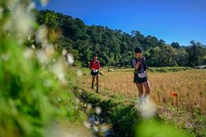 BIB: 
                            <button type="button" onclick="openModal(26572329)" class="btn btn-primary btn-sm float-right btn-popup" data-toggle="modal" data-target=".modal-high-quality">
                        <i class="fas fa-shopping-cart"></i> Add to Cart
                    </button>
                                            <button type="button" onclick="isThisMe(26572329, true)" class="btn btn-success btn-sm float-right btn-popup btn-isme hidden" data-toggle="tooltip" data-placement="bottom" title="นี่คือรูปของคุณใช่ไหม คลิกที่นี่เพื่อเอาเข้าอัลบั้ม">
                        <i class="fas fa-plus"></i> Add to album
                    </button>
                    <button type="button" onclick="isThisMe(26572329, false)" class="btn btn-warning btn-sm float-right btn-popup btn-isnotme hidden">
                        <i class="fas fa-ban"></i> Remove from album
                    </button>