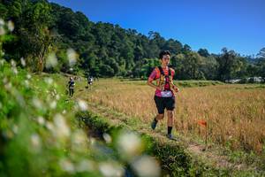 BIB: 
                            <button type="button" onclick="openModal(26576159)" class="btn btn-primary btn-sm float-right btn-popup" data-toggle="modal" data-target=".modal-high-quality">
                        <i class="fas fa-shopping-cart"></i> Add to Cart
                    </button>
                                            <button type="button" onclick="isThisMe(26576159, true)" class="btn btn-success btn-sm float-right btn-popup btn-isme hidden" data-toggle="tooltip" data-placement="bottom" title="นี่คือรูปของคุณใช่ไหม คลิกที่นี่เพื่อเอาเข้าอัลบั้ม">
                        <i class="fas fa-plus"></i> Add to album
                    </button>
                    <button type="button" onclick="isThisMe(26576159, false)" class="btn btn-warning btn-sm float-right btn-popup btn-isnotme hidden">
                        <i class="fas fa-ban"></i> Remove from album
                    </button>