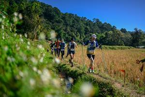 BIB: 
                            <button type="button" onclick="openModal(26576305)" class="btn btn-primary btn-sm float-right btn-popup" data-toggle="modal" data-target=".modal-high-quality">
                        <i class="fas fa-shopping-cart"></i> Add to Cart
                    </button>
                                            <button type="button" onclick="isThisMe(26576305, true)" class="btn btn-success btn-sm float-right btn-popup btn-isme hidden" data-toggle="tooltip" data-placement="bottom" title="นี่คือรูปของคุณใช่ไหม คลิกที่นี่เพื่อเอาเข้าอัลบั้ม">
                        <i class="fas fa-plus"></i> Add to album
                    </button>
                    <button type="button" onclick="isThisMe(26576305, false)" class="btn btn-warning btn-sm float-right btn-popup btn-isnotme hidden">
                        <i class="fas fa-ban"></i> Remove from album
                    </button>