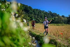 BIB: 
                            <button type="button" onclick="openModal(26575352)" class="btn btn-primary btn-sm float-right btn-popup" data-toggle="modal" data-target=".modal-high-quality">
                        <i class="fas fa-shopping-cart"></i> Add to Cart
                    </button>
                                            <button type="button" onclick="isThisMe(26575352, true)" class="btn btn-success btn-sm float-right btn-popup btn-isme hidden" data-toggle="tooltip" data-placement="bottom" title="นี่คือรูปของคุณใช่ไหม คลิกที่นี่เพื่อเอาเข้าอัลบั้ม">
                        <i class="fas fa-plus"></i> Add to album
                    </button>
                    <button type="button" onclick="isThisMe(26575352, false)" class="btn btn-warning btn-sm float-right btn-popup btn-isnotme hidden">
                        <i class="fas fa-ban"></i> Remove from album
                    </button>