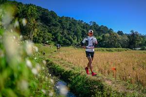 BIB: 
                            <button type="button" onclick="openModal(26575955)" class="btn btn-primary btn-sm float-right btn-popup" data-toggle="modal" data-target=".modal-high-quality">
                        <i class="fas fa-shopping-cart"></i> Add to Cart
                    </button>
                                            <button type="button" onclick="isThisMe(26575955, true)" class="btn btn-success btn-sm float-right btn-popup btn-isme hidden" data-toggle="tooltip" data-placement="bottom" title="นี่คือรูปของคุณใช่ไหม คลิกที่นี่เพื่อเอาเข้าอัลบั้ม">
                        <i class="fas fa-plus"></i> Add to album
                    </button>
                    <button type="button" onclick="isThisMe(26575955, false)" class="btn btn-warning btn-sm float-right btn-popup btn-isnotme hidden">
                        <i class="fas fa-ban"></i> Remove from album
                    </button>