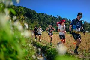 BIB: 
                            <button type="button" onclick="openModal(26575078)" class="btn btn-primary btn-sm float-right btn-popup" data-toggle="modal" data-target=".modal-high-quality">
                        <i class="fas fa-shopping-cart"></i> Add to Cart
                    </button>
                                            <button type="button" onclick="isThisMe(26575078, true)" class="btn btn-success btn-sm float-right btn-popup btn-isme hidden" data-toggle="tooltip" data-placement="bottom" title="นี่คือรูปของคุณใช่ไหม คลิกที่นี่เพื่อเอาเข้าอัลบั้ม">
                        <i class="fas fa-plus"></i> Add to album
                    </button>
                    <button type="button" onclick="isThisMe(26575078, false)" class="btn btn-warning btn-sm float-right btn-popup btn-isnotme hidden">
                        <i class="fas fa-ban"></i> Remove from album
                    </button>