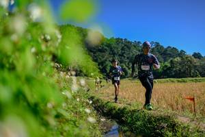 BIB: 
                            <button type="button" onclick="openModal(26580882)" class="btn btn-primary btn-sm float-right btn-popup" data-toggle="modal" data-target=".modal-high-quality">
                        <i class="fas fa-shopping-cart"></i> Add to Cart
                    </button>
                                            <button type="button" onclick="isThisMe(26580882, true)" class="btn btn-success btn-sm float-right btn-popup btn-isme hidden" data-toggle="tooltip" data-placement="bottom" title="นี่คือรูปของคุณใช่ไหม คลิกที่นี่เพื่อเอาเข้าอัลบั้ม">
                        <i class="fas fa-plus"></i> Add to album
                    </button>
                    <button type="button" onclick="isThisMe(26580882, false)" class="btn btn-warning btn-sm float-right btn-popup btn-isnotme hidden">
                        <i class="fas fa-ban"></i> Remove from album
                    </button>