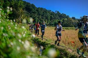 BIB: 
                            <button type="button" onclick="openModal(26576320)" class="btn btn-primary btn-sm float-right btn-popup" data-toggle="modal" data-target=".modal-high-quality">
                        <i class="fas fa-shopping-cart"></i> Add to Cart
                    </button>
                                            <button type="button" onclick="isThisMe(26576320, true)" class="btn btn-success btn-sm float-right btn-popup btn-isme hidden" data-toggle="tooltip" data-placement="bottom" title="นี่คือรูปของคุณใช่ไหม คลิกที่นี่เพื่อเอาเข้าอัลบั้ม">
                        <i class="fas fa-plus"></i> Add to album
                    </button>
                    <button type="button" onclick="isThisMe(26576320, false)" class="btn btn-warning btn-sm float-right btn-popup btn-isnotme hidden">
                        <i class="fas fa-ban"></i> Remove from album
                    </button>