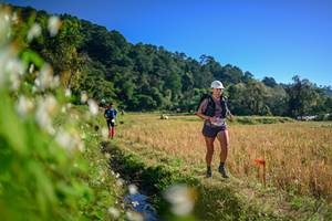 BIB: 
                            <button type="button" onclick="openModal(26571724)" class="btn btn-primary btn-sm float-right btn-popup" data-toggle="modal" data-target=".modal-high-quality">
                        <i class="fas fa-shopping-cart"></i> Add to Cart
                    </button>
                                            <button type="button" onclick="isThisMe(26571724, true)" class="btn btn-success btn-sm float-right btn-popup btn-isme hidden" data-toggle="tooltip" data-placement="bottom" title="นี่คือรูปของคุณใช่ไหม คลิกที่นี่เพื่อเอาเข้าอัลบั้ม">
                        <i class="fas fa-plus"></i> Add to album
                    </button>
                    <button type="button" onclick="isThisMe(26571724, false)" class="btn btn-warning btn-sm float-right btn-popup btn-isnotme hidden">
                        <i class="fas fa-ban"></i> Remove from album
                    </button>