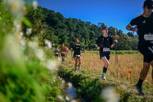 BIB: 
                            <button type="button" onclick="openModal(26575111)" class="btn btn-primary btn-sm float-right btn-popup" data-toggle="modal" data-target=".modal-high-quality">
                        <i class="fas fa-shopping-cart"></i> Add to Cart
                    </button>
                                            <button type="button" onclick="isThisMe(26575111, true)" class="btn btn-success btn-sm float-right btn-popup btn-isme hidden" data-toggle="tooltip" data-placement="bottom" title="นี่คือรูปของคุณใช่ไหม คลิกที่นี่เพื่อเอาเข้าอัลบั้ม">
                        <i class="fas fa-plus"></i> Add to album
                    </button>
                    <button type="button" onclick="isThisMe(26575111, false)" class="btn btn-warning btn-sm float-right btn-popup btn-isnotme hidden">
                        <i class="fas fa-ban"></i> Remove from album
                    </button>