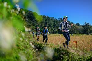 BIB: 
                            <button type="button" onclick="openModal(26580696)" class="btn btn-primary btn-sm float-right btn-popup" data-toggle="modal" data-target=".modal-high-quality">
                        <i class="fas fa-shopping-cart"></i> Add to Cart
                    </button>
                                            <button type="button" onclick="isThisMe(26580696, true)" class="btn btn-success btn-sm float-right btn-popup btn-isme hidden" data-toggle="tooltip" data-placement="bottom" title="นี่คือรูปของคุณใช่ไหม คลิกที่นี่เพื่อเอาเข้าอัลบั้ม">
                        <i class="fas fa-plus"></i> Add to album
                    </button>
                    <button type="button" onclick="isThisMe(26580696, false)" class="btn btn-warning btn-sm float-right btn-popup btn-isnotme hidden">
                        <i class="fas fa-ban"></i> Remove from album
                    </button>