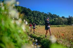 BIB: 
                            <button type="button" onclick="openModal(26572319)" class="btn btn-primary btn-sm float-right btn-popup" data-toggle="modal" data-target=".modal-high-quality">
                        <i class="fas fa-shopping-cart"></i> Add to Cart
                    </button>
                                            <button type="button" onclick="isThisMe(26572319, true)" class="btn btn-success btn-sm float-right btn-popup btn-isme hidden" data-toggle="tooltip" data-placement="bottom" title="นี่คือรูปของคุณใช่ไหม คลิกที่นี่เพื่อเอาเข้าอัลบั้ม">
                        <i class="fas fa-plus"></i> Add to album
                    </button>
                    <button type="button" onclick="isThisMe(26572319, false)" class="btn btn-warning btn-sm float-right btn-popup btn-isnotme hidden">
                        <i class="fas fa-ban"></i> Remove from album
                    </button>