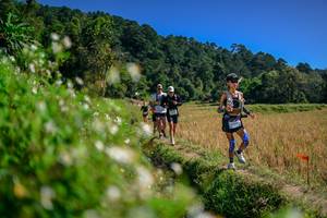 BIB: 
                            <button type="button" onclick="openModal(26582097)" class="btn btn-primary btn-sm float-right btn-popup" data-toggle="modal" data-target=".modal-high-quality">
                        <i class="fas fa-shopping-cart"></i> Add to Cart
                    </button>
                                            <button type="button" onclick="isThisMe(26582097, true)" class="btn btn-success btn-sm float-right btn-popup btn-isme hidden" data-toggle="tooltip" data-placement="bottom" title="นี่คือรูปของคุณใช่ไหม คลิกที่นี่เพื่อเอาเข้าอัลบั้ม">
                        <i class="fas fa-plus"></i> Add to album
                    </button>
                    <button type="button" onclick="isThisMe(26582097, false)" class="btn btn-warning btn-sm float-right btn-popup btn-isnotme hidden">
                        <i class="fas fa-ban"></i> Remove from album
                    </button>