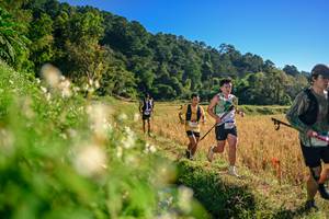 BIB: 
                            <button type="button" onclick="openModal(26570805)" class="btn btn-primary btn-sm float-right btn-popup" data-toggle="modal" data-target=".modal-high-quality">
                        <i class="fas fa-shopping-cart"></i> Add to Cart
                    </button>
                                            <button type="button" onclick="isThisMe(26570805, true)" class="btn btn-success btn-sm float-right btn-popup btn-isme hidden" data-toggle="tooltip" data-placement="bottom" title="นี่คือรูปของคุณใช่ไหม คลิกที่นี่เพื่อเอาเข้าอัลบั้ม">
                        <i class="fas fa-plus"></i> Add to album
                    </button>
                    <button type="button" onclick="isThisMe(26570805, false)" class="btn btn-warning btn-sm float-right btn-popup btn-isnotme hidden">
                        <i class="fas fa-ban"></i> Remove from album
                    </button>