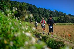 BIB: 
                            <button type="button" onclick="openModal(26582172)" class="btn btn-primary btn-sm float-right btn-popup" data-toggle="modal" data-target=".modal-high-quality">
                        <i class="fas fa-shopping-cart"></i> Add to Cart
                    </button>
                                            <button type="button" onclick="isThisMe(26582172, true)" class="btn btn-success btn-sm float-right btn-popup btn-isme hidden" data-toggle="tooltip" data-placement="bottom" title="นี่คือรูปของคุณใช่ไหม คลิกที่นี่เพื่อเอาเข้าอัลบั้ม">
                        <i class="fas fa-plus"></i> Add to album
                    </button>
                    <button type="button" onclick="isThisMe(26582172, false)" class="btn btn-warning btn-sm float-right btn-popup btn-isnotme hidden">
                        <i class="fas fa-ban"></i> Remove from album
                    </button>