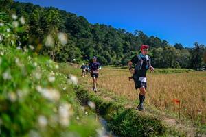 BIB: 
                            <button type="button" onclick="openModal(26582916)" class="btn btn-primary btn-sm float-right btn-popup" data-toggle="modal" data-target=".modal-high-quality">
                        <i class="fas fa-shopping-cart"></i> Add to Cart
                    </button>
                                            <button type="button" onclick="isThisMe(26582916, true)" class="btn btn-success btn-sm float-right btn-popup btn-isme hidden" data-toggle="tooltip" data-placement="bottom" title="นี่คือรูปของคุณใช่ไหม คลิกที่นี่เพื่อเอาเข้าอัลบั้ม">
                        <i class="fas fa-plus"></i> Add to album
                    </button>
                    <button type="button" onclick="isThisMe(26582916, false)" class="btn btn-warning btn-sm float-right btn-popup btn-isnotme hidden">
                        <i class="fas fa-ban"></i> Remove from album
                    </button>