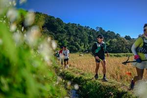 BIB: 
                            <button type="button" onclick="openModal(26572081)" class="btn btn-primary btn-sm float-right btn-popup" data-toggle="modal" data-target=".modal-high-quality">
                        <i class="fas fa-shopping-cart"></i> Add to Cart
                    </button>
                                            <button type="button" onclick="isThisMe(26572081, true)" class="btn btn-success btn-sm float-right btn-popup btn-isme hidden" data-toggle="tooltip" data-placement="bottom" title="นี่คือรูปของคุณใช่ไหม คลิกที่นี่เพื่อเอาเข้าอัลบั้ม">
                        <i class="fas fa-plus"></i> Add to album
                    </button>
                    <button type="button" onclick="isThisMe(26572081, false)" class="btn btn-warning btn-sm float-right btn-popup btn-isnotme hidden">
                        <i class="fas fa-ban"></i> Remove from album
                    </button>