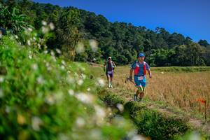 BIB: 
                            <button type="button" onclick="openModal(26581966)" class="btn btn-primary btn-sm float-right btn-popup" data-toggle="modal" data-target=".modal-high-quality">
                        <i class="fas fa-shopping-cart"></i> Add to Cart
                    </button>
                                            <button type="button" onclick="isThisMe(26581966, true)" class="btn btn-success btn-sm float-right btn-popup btn-isme hidden" data-toggle="tooltip" data-placement="bottom" title="นี่คือรูปของคุณใช่ไหม คลิกที่นี่เพื่อเอาเข้าอัลบั้ม">
                        <i class="fas fa-plus"></i> Add to album
                    </button>
                    <button type="button" onclick="isThisMe(26581966, false)" class="btn btn-warning btn-sm float-right btn-popup btn-isnotme hidden">
                        <i class="fas fa-ban"></i> Remove from album
                    </button>