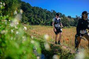 BIB: 
                            <button type="button" onclick="openModal(26579654)" class="btn btn-primary btn-sm float-right btn-popup" data-toggle="modal" data-target=".modal-high-quality">
                        <i class="fas fa-shopping-cart"></i> Add to Cart
                    </button>
                                            <button type="button" onclick="isThisMe(26579654, true)" class="btn btn-success btn-sm float-right btn-popup btn-isme hidden" data-toggle="tooltip" data-placement="bottom" title="นี่คือรูปของคุณใช่ไหม คลิกที่นี่เพื่อเอาเข้าอัลบั้ม">
                        <i class="fas fa-plus"></i> Add to album
                    </button>
                    <button type="button" onclick="isThisMe(26579654, false)" class="btn btn-warning btn-sm float-right btn-popup btn-isnotme hidden">
                        <i class="fas fa-ban"></i> Remove from album
                    </button>