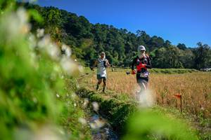 BIB: 
                            <button type="button" onclick="openModal(26574926)" class="btn btn-primary btn-sm float-right btn-popup" data-toggle="modal" data-target=".modal-high-quality">
                        <i class="fas fa-shopping-cart"></i> Add to Cart
                    </button>
                                            <button type="button" onclick="isThisMe(26574926, true)" class="btn btn-success btn-sm float-right btn-popup btn-isme hidden" data-toggle="tooltip" data-placement="bottom" title="นี่คือรูปของคุณใช่ไหม คลิกที่นี่เพื่อเอาเข้าอัลบั้ม">
                        <i class="fas fa-plus"></i> Add to album
                    </button>
                    <button type="button" onclick="isThisMe(26574926, false)" class="btn btn-warning btn-sm float-right btn-popup btn-isnotme hidden">
                        <i class="fas fa-ban"></i> Remove from album
                    </button>