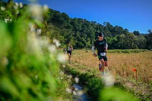 BIB: 
                            <button type="button" onclick="openModal(26574408)" class="btn btn-primary btn-sm float-right btn-popup" data-toggle="modal" data-target=".modal-high-quality">
                        <i class="fas fa-shopping-cart"></i> Add to Cart
                    </button>
                                            <button type="button" onclick="isThisMe(26574408, true)" class="btn btn-success btn-sm float-right btn-popup btn-isme hidden" data-toggle="tooltip" data-placement="bottom" title="นี่คือรูปของคุณใช่ไหม คลิกที่นี่เพื่อเอาเข้าอัลบั้ม">
                        <i class="fas fa-plus"></i> Add to album
                    </button>
                    <button type="button" onclick="isThisMe(26574408, false)" class="btn btn-warning btn-sm float-right btn-popup btn-isnotme hidden">
                        <i class="fas fa-ban"></i> Remove from album
                    </button>