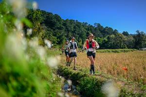 BIB: 
                            <button type="button" onclick="openModal(26574955)" class="btn btn-primary btn-sm float-right btn-popup" data-toggle="modal" data-target=".modal-high-quality">
                        <i class="fas fa-shopping-cart"></i> Add to Cart
                    </button>
                                            <button type="button" onclick="isThisMe(26574955, true)" class="btn btn-success btn-sm float-right btn-popup btn-isme hidden" data-toggle="tooltip" data-placement="bottom" title="นี่คือรูปของคุณใช่ไหม คลิกที่นี่เพื่อเอาเข้าอัลบั้ม">
                        <i class="fas fa-plus"></i> Add to album
                    </button>
                    <button type="button" onclick="isThisMe(26574955, false)" class="btn btn-warning btn-sm float-right btn-popup btn-isnotme hidden">
                        <i class="fas fa-ban"></i> Remove from album
                    </button>