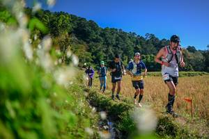 BIB: 
                            <button type="button" onclick="openModal(26573325)" class="btn btn-primary btn-sm float-right btn-popup" data-toggle="modal" data-target=".modal-high-quality">
                        <i class="fas fa-shopping-cart"></i> Add to Cart
                    </button>
                                            <button type="button" onclick="isThisMe(26573325, true)" class="btn btn-success btn-sm float-right btn-popup btn-isme hidden" data-toggle="tooltip" data-placement="bottom" title="นี่คือรูปของคุณใช่ไหม คลิกที่นี่เพื่อเอาเข้าอัลบั้ม">
                        <i class="fas fa-plus"></i> Add to album
                    </button>
                    <button type="button" onclick="isThisMe(26573325, false)" class="btn btn-warning btn-sm float-right btn-popup btn-isnotme hidden">
                        <i class="fas fa-ban"></i> Remove from album
                    </button>