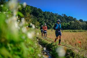 BIB: 
                            <button type="button" onclick="openModal(26572834)" class="btn btn-primary btn-sm float-right btn-popup" data-toggle="modal" data-target=".modal-high-quality">
                        <i class="fas fa-shopping-cart"></i> Add to Cart
                    </button>
                                            <button type="button" onclick="isThisMe(26572834, true)" class="btn btn-success btn-sm float-right btn-popup btn-isme hidden" data-toggle="tooltip" data-placement="bottom" title="นี่คือรูปของคุณใช่ไหม คลิกที่นี่เพื่อเอาเข้าอัลบั้ม">
                        <i class="fas fa-plus"></i> Add to album
                    </button>
                    <button type="button" onclick="isThisMe(26572834, false)" class="btn btn-warning btn-sm float-right btn-popup btn-isnotme hidden">
                        <i class="fas fa-ban"></i> Remove from album
                    </button>