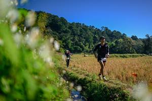 BIB: 
                            <button type="button" onclick="openModal(26572154)" class="btn btn-primary btn-sm float-right btn-popup" data-toggle="modal" data-target=".modal-high-quality">
                        <i class="fas fa-shopping-cart"></i> Add to Cart
                    </button>
                                            <button type="button" onclick="isThisMe(26572154, true)" class="btn btn-success btn-sm float-right btn-popup btn-isme hidden" data-toggle="tooltip" data-placement="bottom" title="นี่คือรูปของคุณใช่ไหม คลิกที่นี่เพื่อเอาเข้าอัลบั้ม">
                        <i class="fas fa-plus"></i> Add to album
                    </button>
                    <button type="button" onclick="isThisMe(26572154, false)" class="btn btn-warning btn-sm float-right btn-popup btn-isnotme hidden">
                        <i class="fas fa-ban"></i> Remove from album
                    </button>