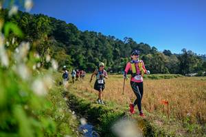 BIB: 
                            <button type="button" onclick="openModal(26572618)" class="btn btn-primary btn-sm float-right btn-popup" data-toggle="modal" data-target=".modal-high-quality">
                        <i class="fas fa-shopping-cart"></i> Add to Cart
                    </button>
                                            <button type="button" onclick="isThisMe(26572618, true)" class="btn btn-success btn-sm float-right btn-popup btn-isme hidden" data-toggle="tooltip" data-placement="bottom" title="นี่คือรูปของคุณใช่ไหม คลิกที่นี่เพื่อเอาเข้าอัลบั้ม">
                        <i class="fas fa-plus"></i> Add to album
                    </button>
                    <button type="button" onclick="isThisMe(26572618, false)" class="btn btn-warning btn-sm float-right btn-popup btn-isnotme hidden">
                        <i class="fas fa-ban"></i> Remove from album
                    </button>