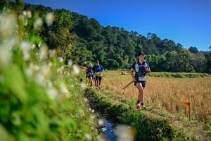 BIB: 
                            <button type="button" onclick="openModal(26571748)" class="btn btn-primary btn-sm float-right btn-popup" data-toggle="modal" data-target=".modal-high-quality">
                        <i class="fas fa-shopping-cart"></i> Add to Cart
                    </button>
                                            <button type="button" onclick="isThisMe(26571748, true)" class="btn btn-success btn-sm float-right btn-popup btn-isme hidden" data-toggle="tooltip" data-placement="bottom" title="นี่คือรูปของคุณใช่ไหม คลิกที่นี่เพื่อเอาเข้าอัลบั้ม">
                        <i class="fas fa-plus"></i> Add to album
                    </button>
                    <button type="button" onclick="isThisMe(26571748, false)" class="btn btn-warning btn-sm float-right btn-popup btn-isnotme hidden">
                        <i class="fas fa-ban"></i> Remove from album
                    </button>