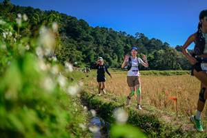 BIB: 
                            <button type="button" onclick="openModal(26575551)" class="btn btn-primary btn-sm float-right btn-popup" data-toggle="modal" data-target=".modal-high-quality">
                        <i class="fas fa-shopping-cart"></i> Add to Cart
                    </button>
                                            <button type="button" onclick="isThisMe(26575551, true)" class="btn btn-success btn-sm float-right btn-popup btn-isme hidden" data-toggle="tooltip" data-placement="bottom" title="นี่คือรูปของคุณใช่ไหม คลิกที่นี่เพื่อเอาเข้าอัลบั้ม">
                        <i class="fas fa-plus"></i> Add to album
                    </button>
                    <button type="button" onclick="isThisMe(26575551, false)" class="btn btn-warning btn-sm float-right btn-popup btn-isnotme hidden">
                        <i class="fas fa-ban"></i> Remove from album
                    </button>