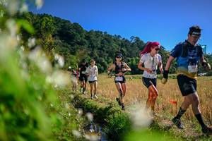 BIB: 
                            <button type="button" onclick="openModal(26575079)" class="btn btn-primary btn-sm float-right btn-popup" data-toggle="modal" data-target=".modal-high-quality">
                        <i class="fas fa-shopping-cart"></i> Add to Cart
                    </button>
                                            <button type="button" onclick="isThisMe(26575079, true)" class="btn btn-success btn-sm float-right btn-popup btn-isme hidden" data-toggle="tooltip" data-placement="bottom" title="นี่คือรูปของคุณใช่ไหม คลิกที่นี่เพื่อเอาเข้าอัลบั้ม">
                        <i class="fas fa-plus"></i> Add to album
                    </button>
                    <button type="button" onclick="isThisMe(26575079, false)" class="btn btn-warning btn-sm float-right btn-popup btn-isnotme hidden">
                        <i class="fas fa-ban"></i> Remove from album
                    </button>