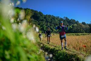 BIB: 
                            <button type="button" onclick="openModal(26572141)" class="btn btn-primary btn-sm float-right btn-popup" data-toggle="modal" data-target=".modal-high-quality">
                        <i class="fas fa-shopping-cart"></i> Add to Cart
                    </button>
                                            <button type="button" onclick="isThisMe(26572141, true)" class="btn btn-success btn-sm float-right btn-popup btn-isme hidden" data-toggle="tooltip" data-placement="bottom" title="นี่คือรูปของคุณใช่ไหม คลิกที่นี่เพื่อเอาเข้าอัลบั้ม">
                        <i class="fas fa-plus"></i> Add to album
                    </button>
                    <button type="button" onclick="isThisMe(26572141, false)" class="btn btn-warning btn-sm float-right btn-popup btn-isnotme hidden">
                        <i class="fas fa-ban"></i> Remove from album
                    </button>