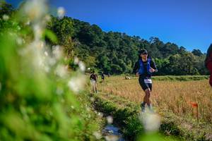 BIB: 
                            <button type="button" onclick="openModal(26573098)" class="btn btn-primary btn-sm float-right btn-popup" data-toggle="modal" data-target=".modal-high-quality">
                        <i class="fas fa-shopping-cart"></i> Add to Cart
                    </button>
                                            <button type="button" onclick="isThisMe(26573098, true)" class="btn btn-success btn-sm float-right btn-popup btn-isme hidden" data-toggle="tooltip" data-placement="bottom" title="นี่คือรูปของคุณใช่ไหม คลิกที่นี่เพื่อเอาเข้าอัลบั้ม">
                        <i class="fas fa-plus"></i> Add to album
                    </button>
                    <button type="button" onclick="isThisMe(26573098, false)" class="btn btn-warning btn-sm float-right btn-popup btn-isnotme hidden">
                        <i class="fas fa-ban"></i> Remove from album
                    </button>