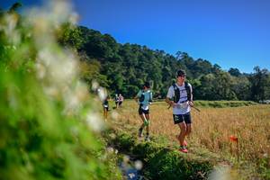 BIB: 
                            <button type="button" onclick="openModal(26572255)" class="btn btn-primary btn-sm float-right btn-popup" data-toggle="modal" data-target=".modal-high-quality">
                        <i class="fas fa-shopping-cart"></i> Add to Cart
                    </button>
                                            <button type="button" onclick="isThisMe(26572255, true)" class="btn btn-success btn-sm float-right btn-popup btn-isme hidden" data-toggle="tooltip" data-placement="bottom" title="นี่คือรูปของคุณใช่ไหม คลิกที่นี่เพื่อเอาเข้าอัลบั้ม">
                        <i class="fas fa-plus"></i> Add to album
                    </button>
                    <button type="button" onclick="isThisMe(26572255, false)" class="btn btn-warning btn-sm float-right btn-popup btn-isnotme hidden">
                        <i class="fas fa-ban"></i> Remove from album
                    </button>