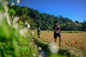 BIB: 
                            <button type="button" onclick="openModal(26572780)" class="btn btn-primary btn-sm float-right btn-popup" data-toggle="modal" data-target=".modal-high-quality">
                        <i class="fas fa-shopping-cart"></i> Add to Cart
                    </button>
                                            <button type="button" onclick="isThisMe(26572780, true)" class="btn btn-success btn-sm float-right btn-popup btn-isme hidden" data-toggle="tooltip" data-placement="bottom" title="นี่คือรูปของคุณใช่ไหม คลิกที่นี่เพื่อเอาเข้าอัลบั้ม">
                        <i class="fas fa-plus"></i> Add to album
                    </button>
                    <button type="button" onclick="isThisMe(26572780, false)" class="btn btn-warning btn-sm float-right btn-popup btn-isnotme hidden">
                        <i class="fas fa-ban"></i> Remove from album
                    </button>