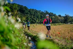 BIB: 
                            <button type="button" onclick="openModal(26574232)" class="btn btn-primary btn-sm float-right btn-popup" data-toggle="modal" data-target=".modal-high-quality">
                        <i class="fas fa-shopping-cart"></i> Add to Cart
                    </button>
                                            <button type="button" onclick="isThisMe(26574232, true)" class="btn btn-success btn-sm float-right btn-popup btn-isme hidden" data-toggle="tooltip" data-placement="bottom" title="นี่คือรูปของคุณใช่ไหม คลิกที่นี่เพื่อเอาเข้าอัลบั้ม">
                        <i class="fas fa-plus"></i> Add to album
                    </button>
                    <button type="button" onclick="isThisMe(26574232, false)" class="btn btn-warning btn-sm float-right btn-popup btn-isnotme hidden">
                        <i class="fas fa-ban"></i> Remove from album
                    </button>