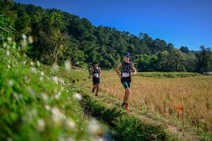 BIB: 
                            <button type="button" onclick="openModal(26575973)" class="btn btn-primary btn-sm float-right btn-popup" data-toggle="modal" data-target=".modal-high-quality">
                        <i class="fas fa-shopping-cart"></i> Add to Cart
                    </button>
                                            <button type="button" onclick="isThisMe(26575973, true)" class="btn btn-success btn-sm float-right btn-popup btn-isme hidden" data-toggle="tooltip" data-placement="bottom" title="นี่คือรูปของคุณใช่ไหม คลิกที่นี่เพื่อเอาเข้าอัลบั้ม">
                        <i class="fas fa-plus"></i> Add to album
                    </button>
                    <button type="button" onclick="isThisMe(26575973, false)" class="btn btn-warning btn-sm float-right btn-popup btn-isnotme hidden">
                        <i class="fas fa-ban"></i> Remove from album
                    </button>